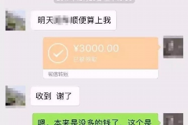 瓦房店贷款清欠服务